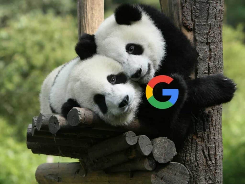 Panda y Google plus